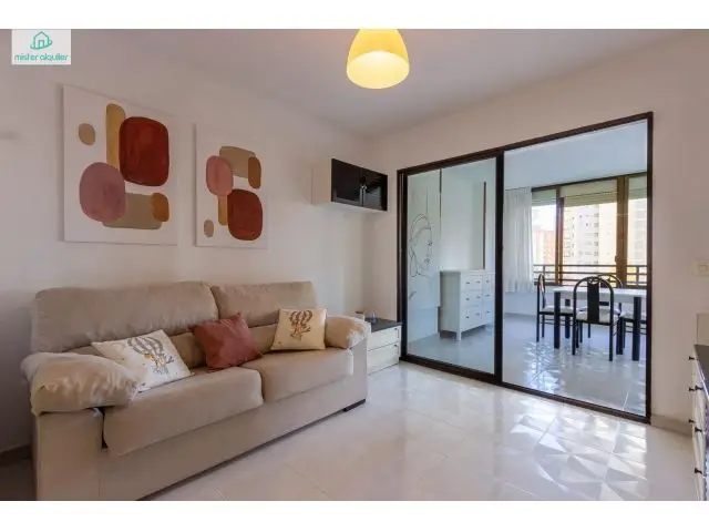 Apartamento Benidorm Piscina Parking Ideal Turismo Termal
