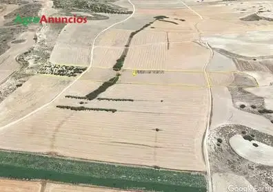 Venta  de Finca para lechugas, pistachos, almendros en Granada