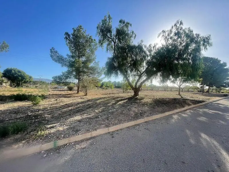 Terreno en Venta en Ubeda Alicante