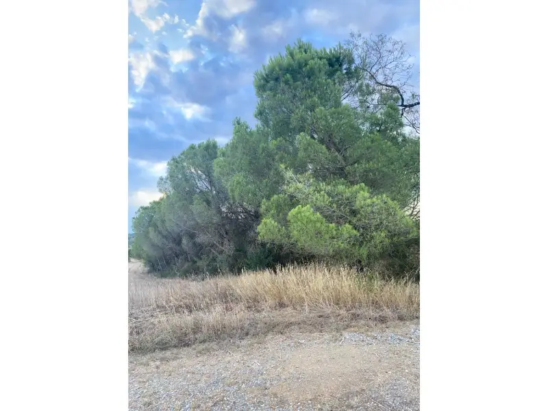 Venta Suelo Rustico Cruilles 4433m2