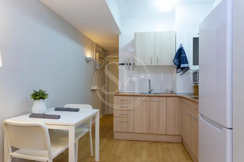 Loft Amueblado Sarria Sant Gervasi Barcelona