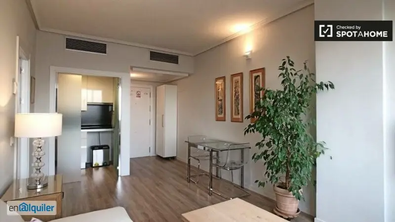 Apartamento Moderno 1 Dormitorio Nueva Espa
ja Madrid