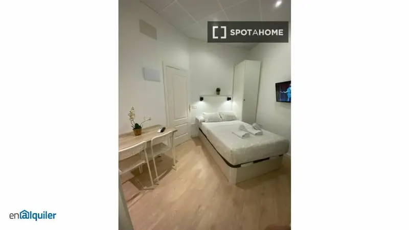 Estudio Amueblado en Alquiler Moncloa