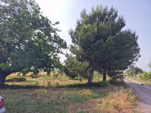 Finca con dos viviendas y almacenes cerca de Lleida