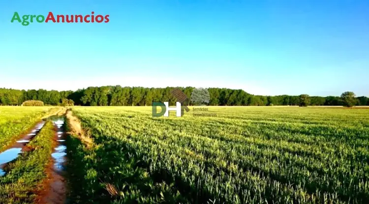 Venta  de Finca agrícola  con palacete en Valladolid