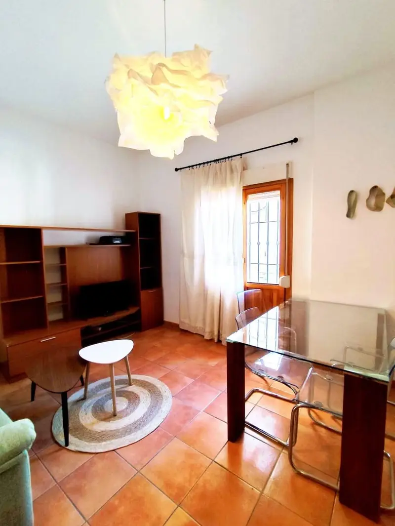 Apartamento en alquiler Granada centro: 1 dormitorio, baño, salón y cocina