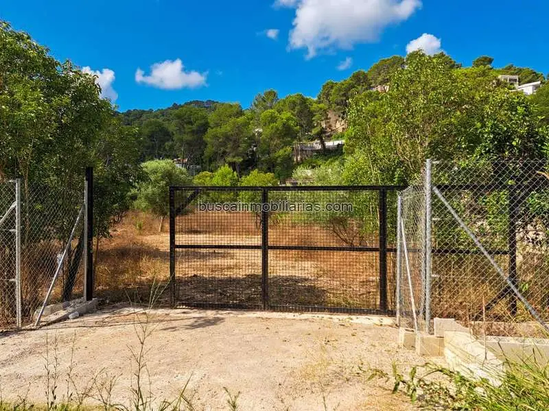 Parcela Rustica en Venta en La Barraca de Aguas Vivas
