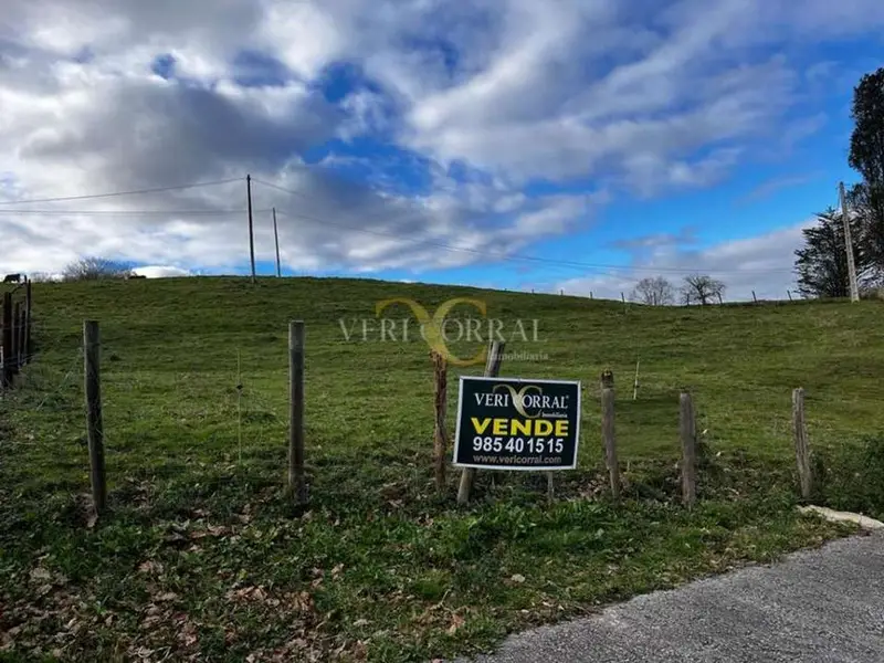 venta Terreno en El Peral (Ribadedeva), Asturias (F3243)- Globaliza