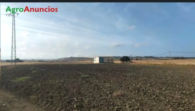 Venta  de Finca de regadío en Huelva