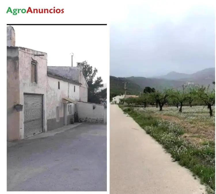 Venta  de Finca rústica con almendros y olivos en Murcia