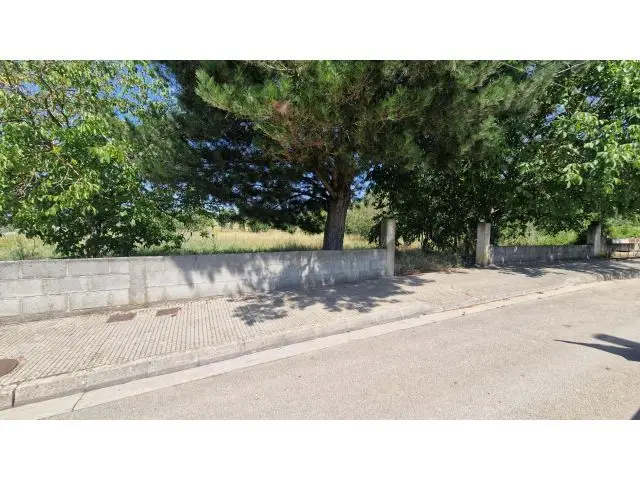 Solar 2500m2 Cubillos del Sil