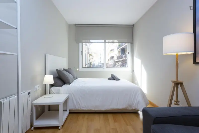 Un piso de 1 habitación