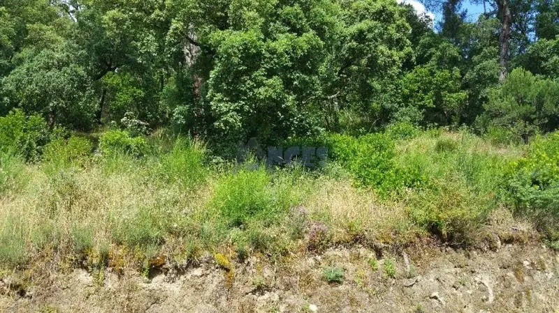 Venta Parcela Edificable 2 Chalets Piñeiral Ourense