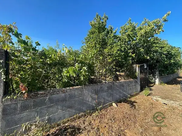 Parcela Rustica en Camponaraya 3000m2 con Caseta y Vistas