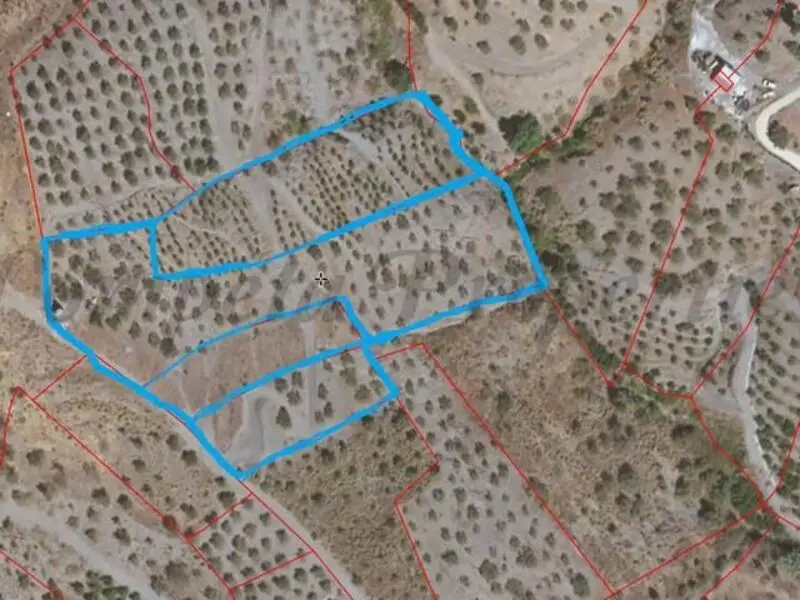 Terrenos en Venta Canillas de Albaida Malaga
