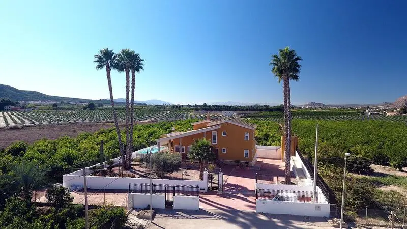 Finca de Campo con Ingresos Orihuela