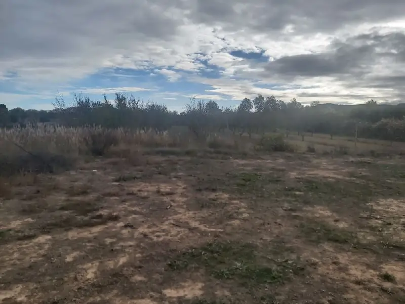 Venta Finca Castelldans Almendros Regadío