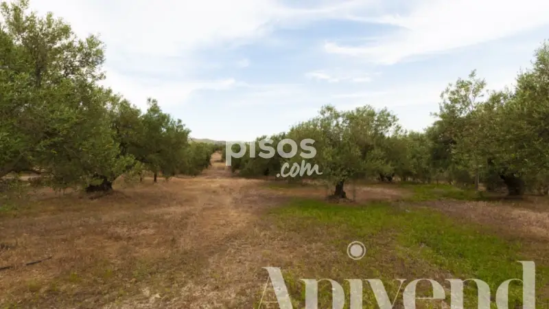 Finca rústica en venta en Centre