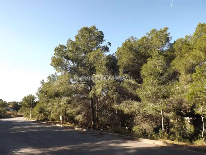 Parcela Rustica en Calafell con Vistas al Mar y la Montana