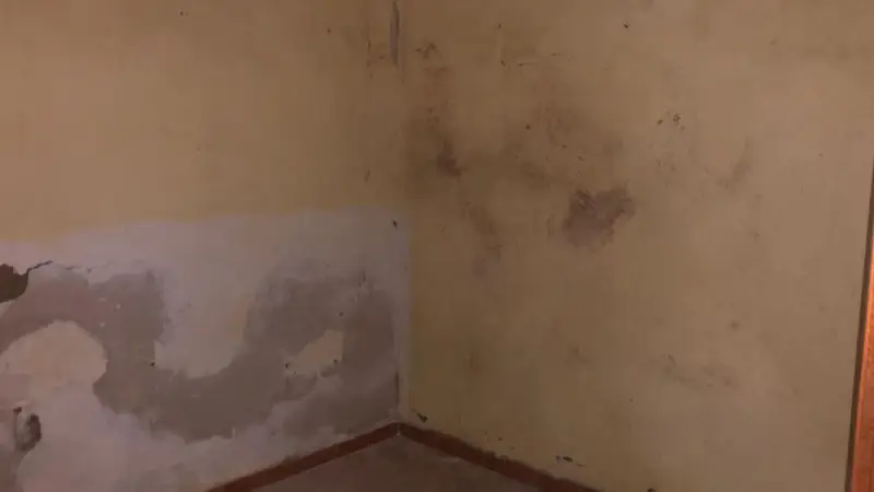 Casa en venta Villanueva del Rio y Minas 3 habitaciones