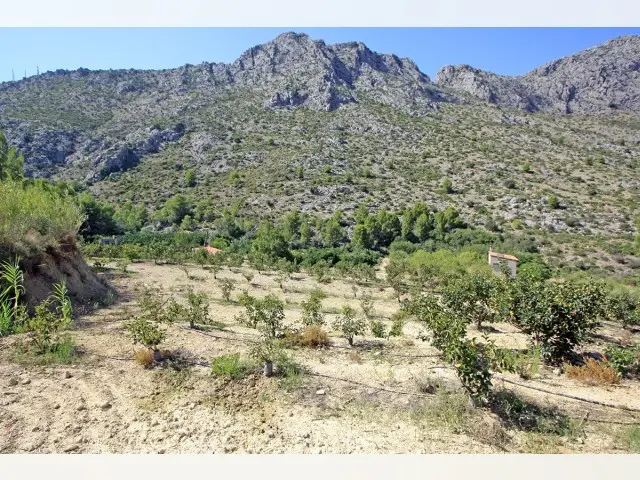 Terreno en Venta Beniarbeig  16449m2  Casa Aprobada Vistas Montaña