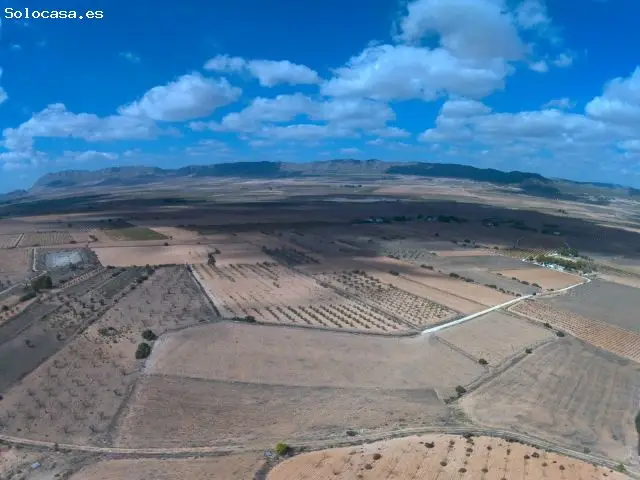 Parcela en Venta Pinoso Alicante