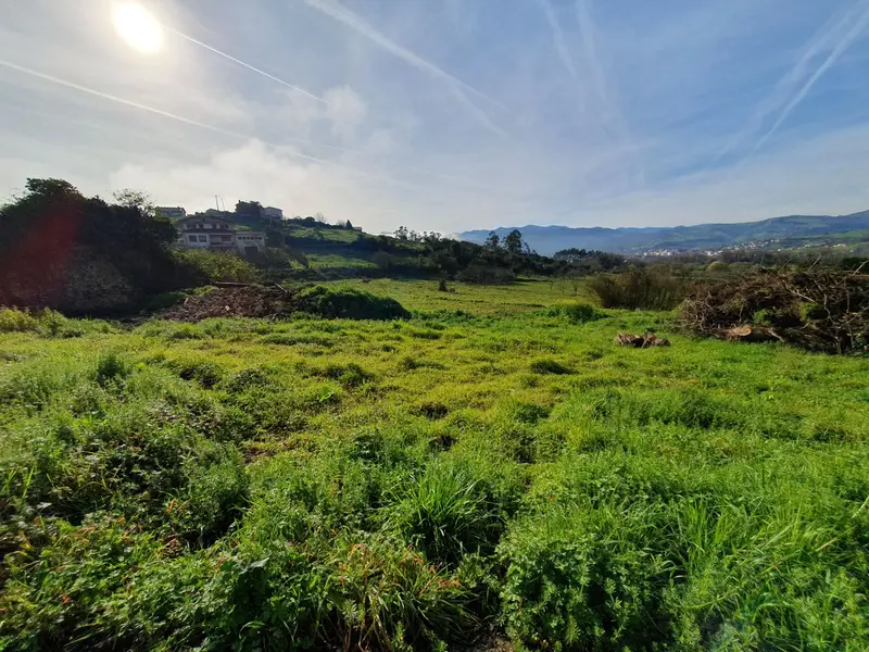 Venta Parcela Candamo Ref 26193