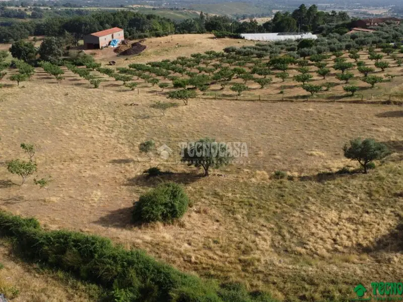 Terreno en Venta Candeleda 7500m2