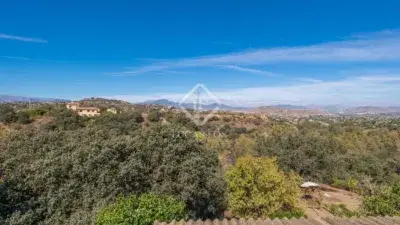 Villa en Venta Alhaurin el Grande 13000m2