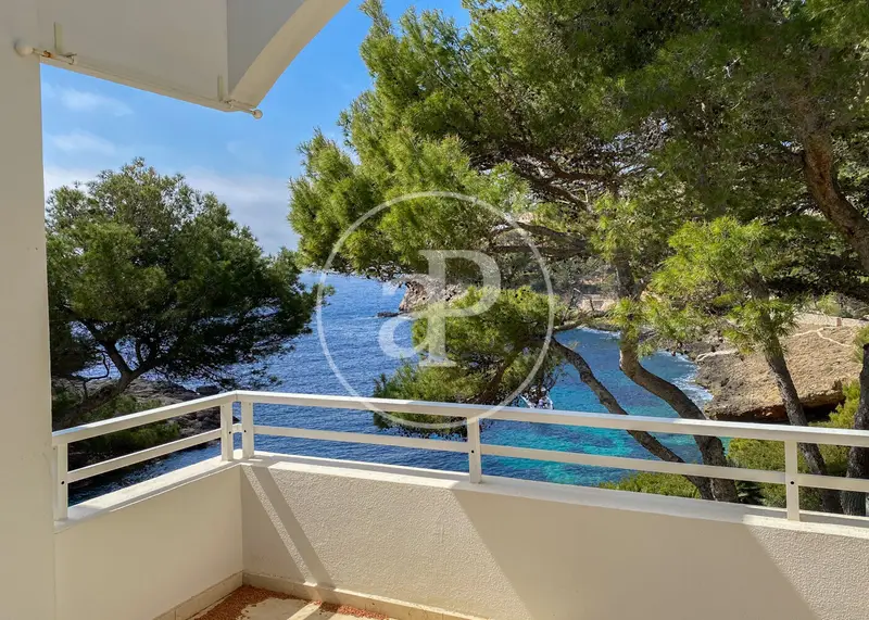 Alquiler Ático 75m² Puerto Andratx Terraza Solárium 80m²