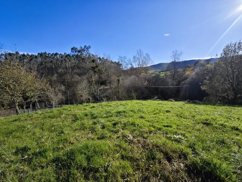 Venta Terreno Vallines Valdaliga 8095m2 Casa Playa Golf