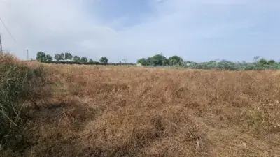 Finca Rustica en Venta Playa de Las Tres Piedras