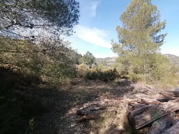 Finca Rustica Borriol Castellon 1241m2 Recreo Cultivo