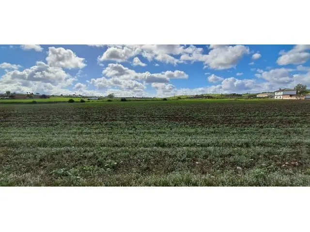Parcela Rustica Regadío Majadales Arcos de la Frontera