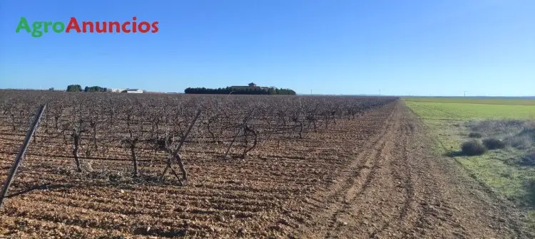 Alquiler  de Terreno de secano en Lleida