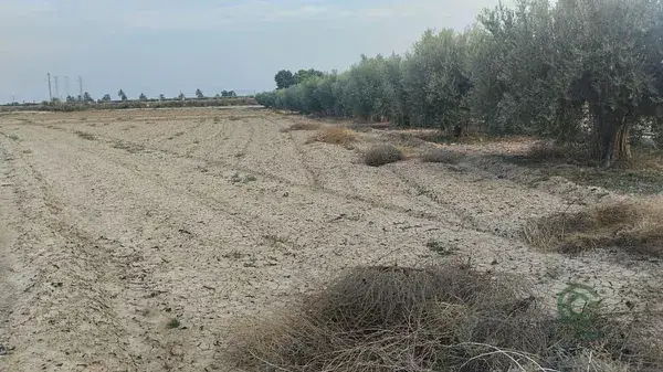 Terreno 7528m2 Riego Totana Cerca A7