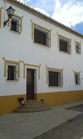 Finca Rustica 298 Hectareas 14000 Olivos Antequera