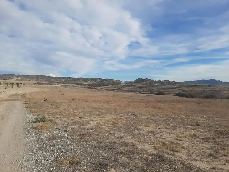 Venta Parcela 20000m2 Consejero Lorca Chalets Vistas Huerta