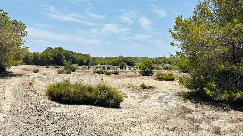 Parcela Rustica en Venta Elche Elx La Marina 23000m2