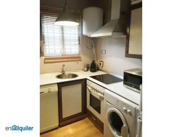 Alquiler Loft 1 Dormitorio Petxina