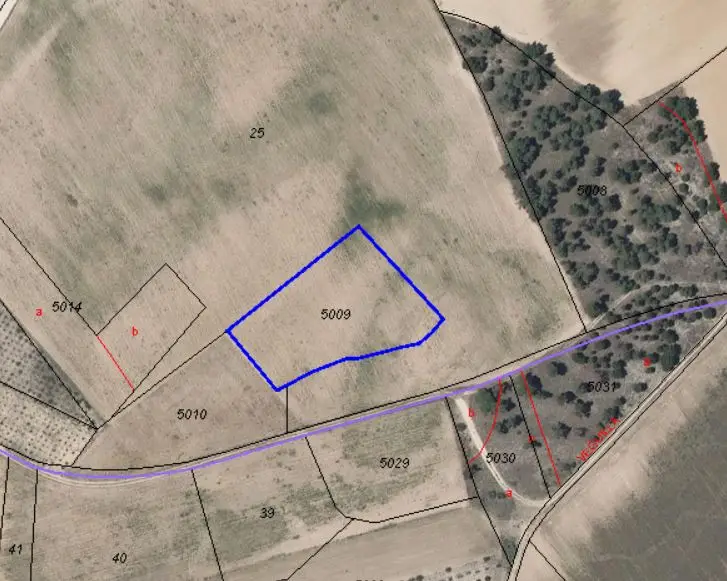 Finca en Villanueva de Gómez Ávila