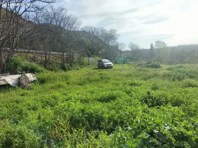 Parcela en Venta Pastrana Guadalajara 1618m2 Vivienda Unifamiliar