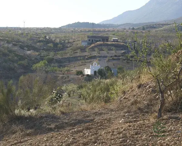 Parcela Rustica en Venta Lorca Murcia 27000m2