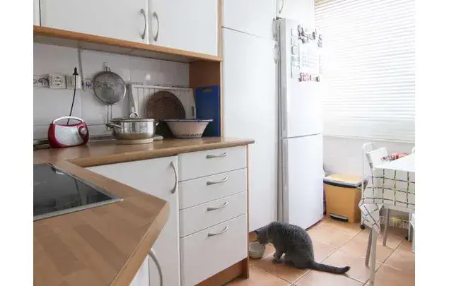 Apartamento 3 Dormitorios Madrid Zona Residencial