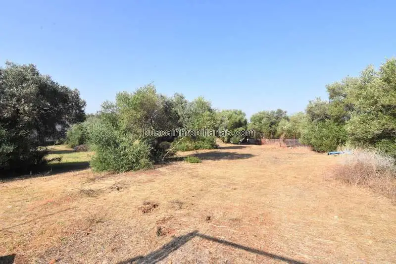 Parcelas Rusticas en Venta Dos Hermanas - Inversores y Desarrolladores