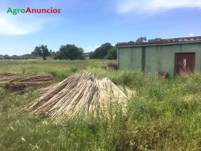 Venta  de Finca agraria cerca del pueblo en Barcelona