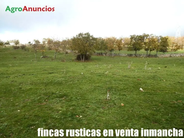 Venta  de Finca con pastos ganaderos en Segovia