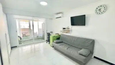 Estudio en Alquiler Torrevieja Cerca de la Playa
