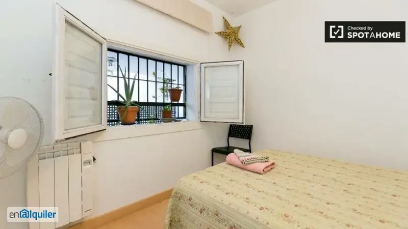 Apartamento 1 Dormitorio Albaycin Granada Amueblado