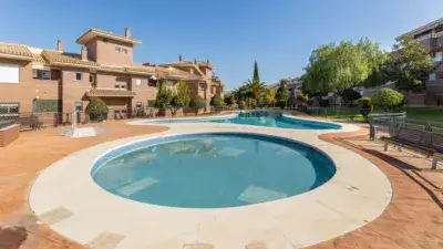 Piso en Venta en Granada  3 Dormitorios  Gran Terraza